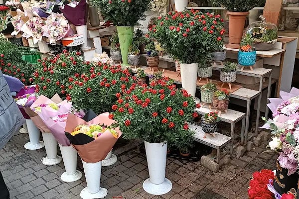 Bursa Kan Bağışı Merkezi - Resim 2