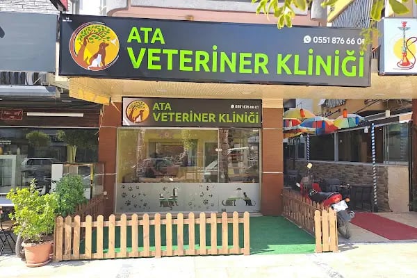 ATA Veteriner Kliniği - Resim 7