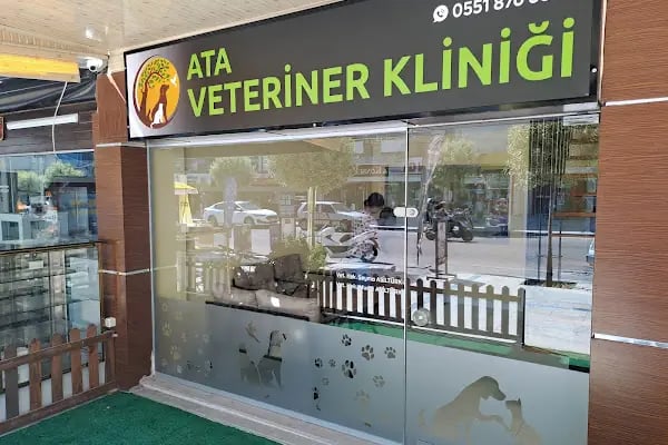 ATA Veteriner Kliniği - Resim 4