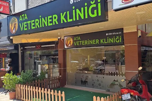 ATA Veteriner Kliniği - Resim 6