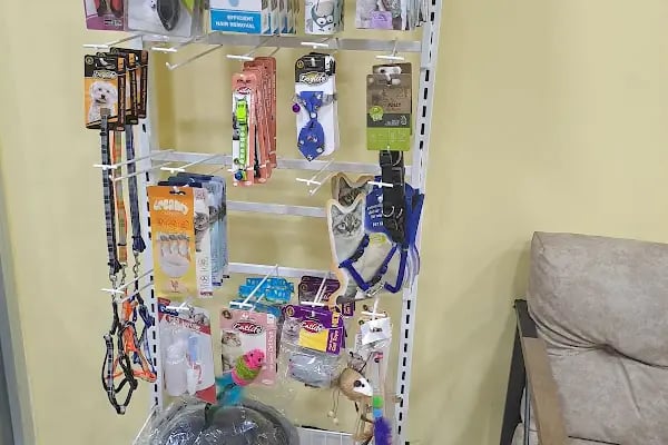 ATA Veteriner Kliniği - Resim 2
