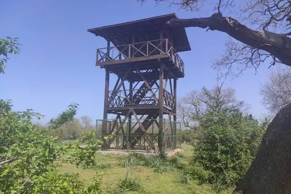Karacabey Longoz Ormanları - Resim 18
