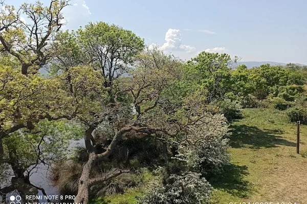 Karacabey Longoz Ormanları - Resim 12
