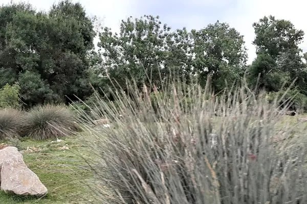 Karacabey Longoz Ormanları - Resim 20