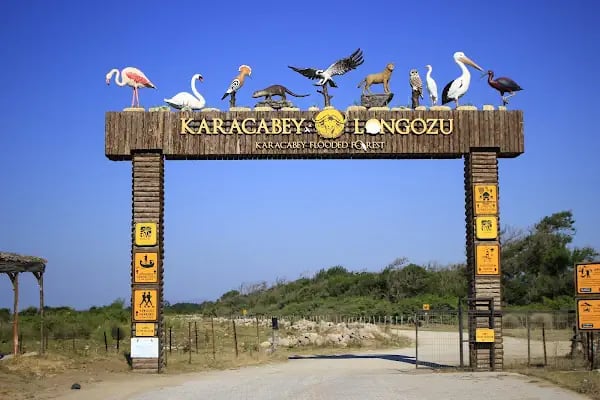 Karacabey Longoz Ormanları - Resim 3