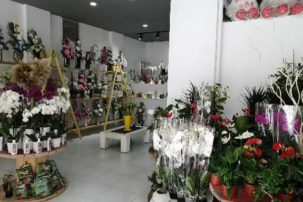 Mavi gül çiçekçilik - Resim 12
