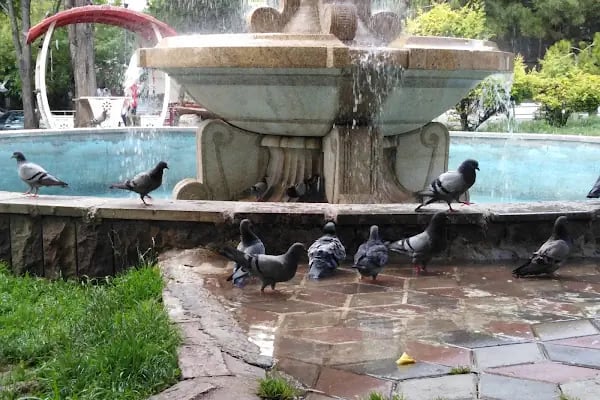 Aşık Veysel Parkı - Resim 16