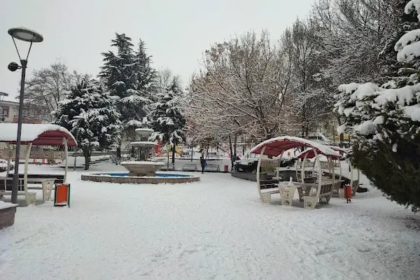 Aşık Veysel Parkı - Resim 8