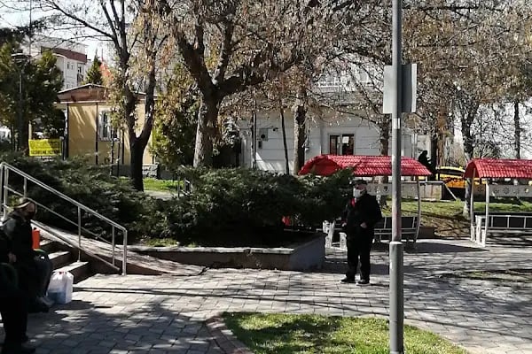 Aşık Veysel Parkı - Resim 4