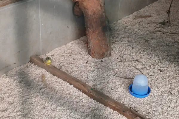 Gürsu Belediyesi Hayvan Bakım ve Rehabilitasyon Merkezi - Resim 11