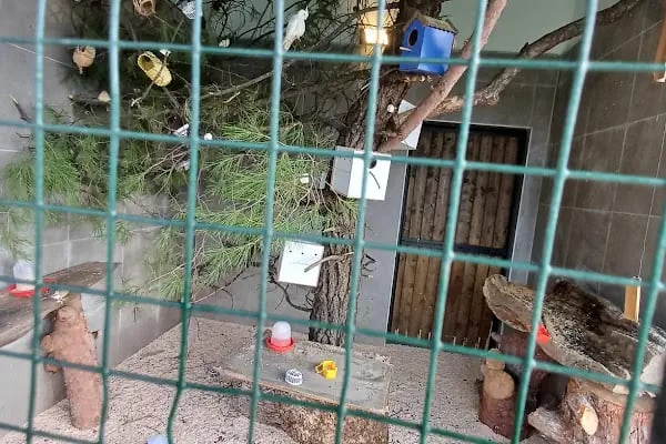 Gürsu Belediyesi Hayvan Bakım ve Rehabilitasyon Merkezi - Resim 12