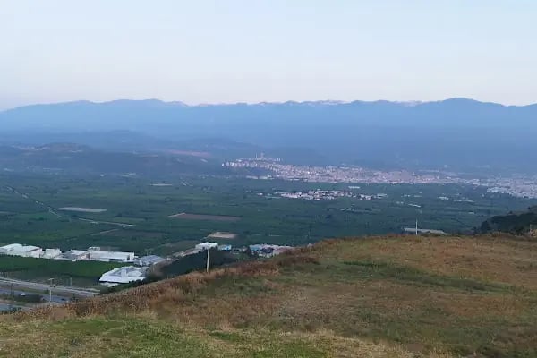 Gürsu Belediyesi Hayvan Bakım ve Rehabilitasyon Merkezi - Resim 9