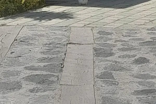 Gürsu Belediyesi Hayvan Bakım ve Rehabilitasyon Merkezi - Resim 18
