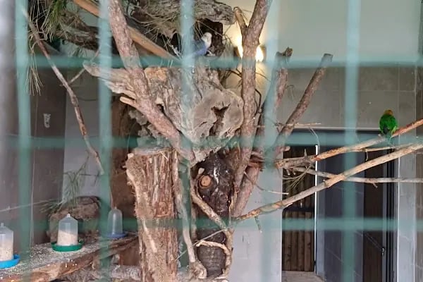 Gürsu Belediyesi Hayvan Bakım ve Rehabilitasyon Merkezi - Resim 2