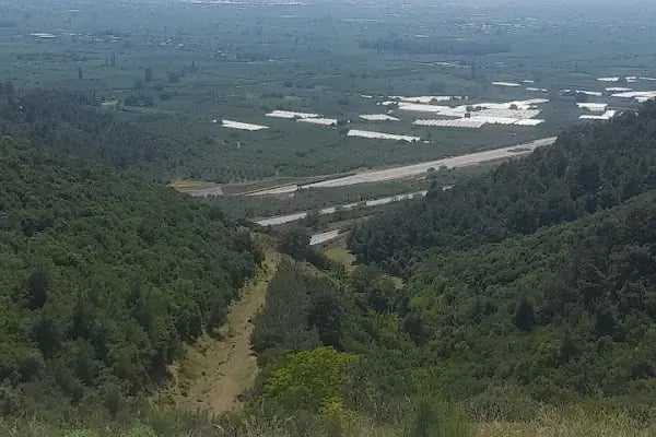 Gürsu Belediyesi Hayvan Bakım ve Rehabilitasyon Merkezi - Resim 13