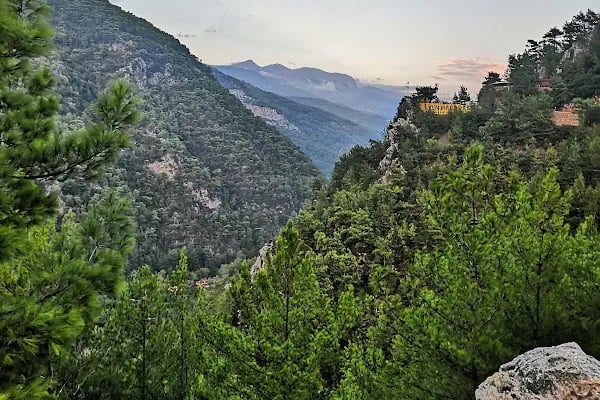 Bora Rent A Car Alanya Car Rental - Resim 7