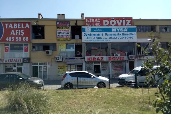 Kiraz Döviz - Resim 2