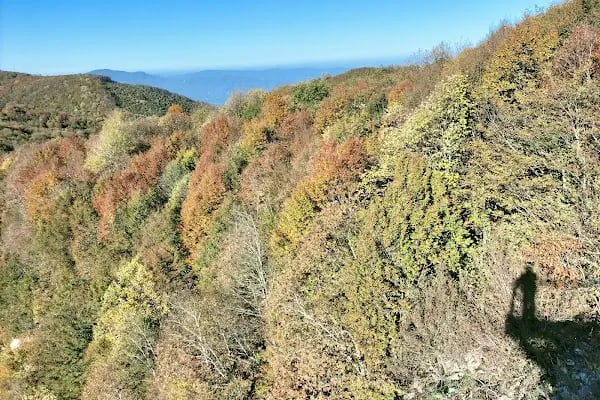 Beşkayalar tabiat parkı cam teras - Resim 5