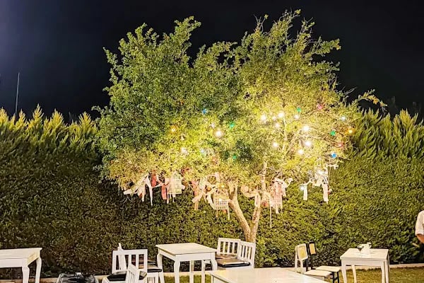 Çınar Garden Wedding House - Resim 11