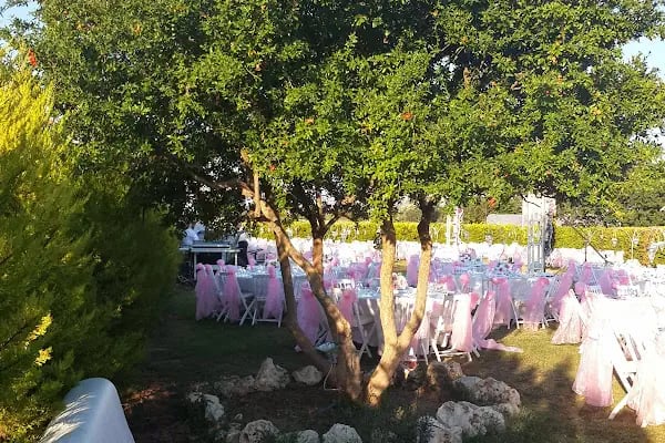 Çınar Garden Wedding House - Resim 14