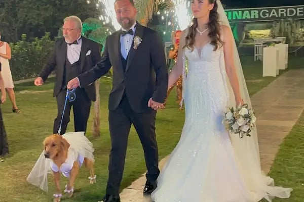 Çınar Garden Wedding House - Resim 18