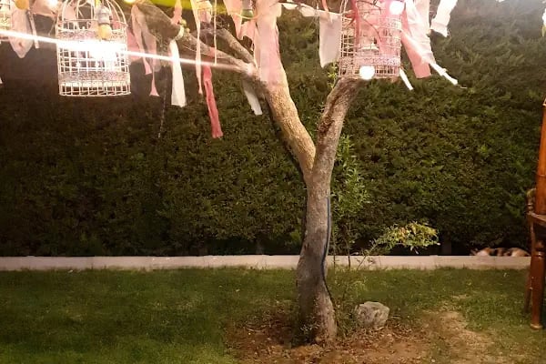 Çınar Garden Wedding House - Resim 13
