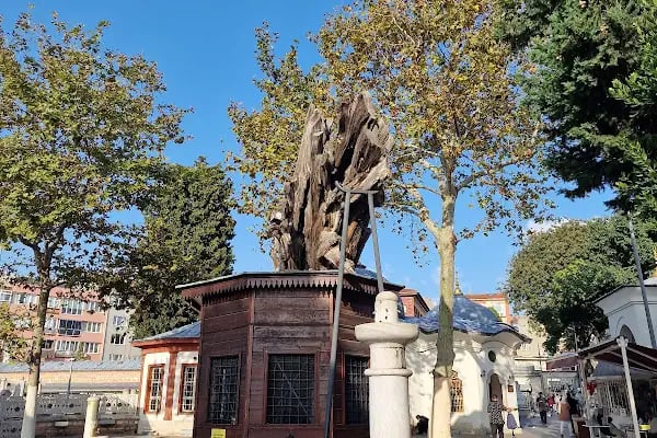 Çifte Sultanlar Türbesi - Resim 4