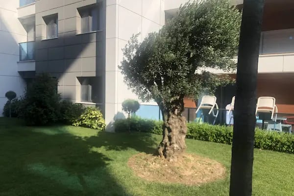 Bayburtlu İnşaat Avcılar Garden Satiş Ofisi - Resim 11