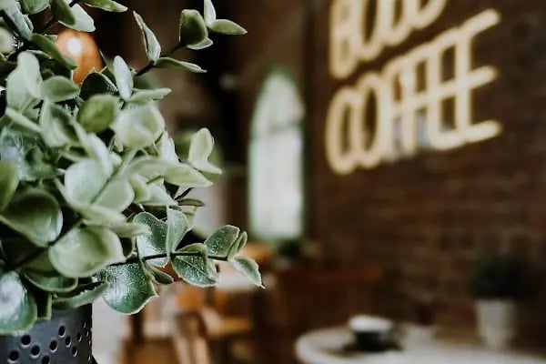RHEA COFFEE &amp; EATERY - Resim 19