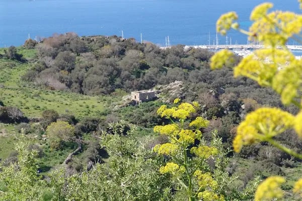 Turgutreis Rehberi - Resim 12