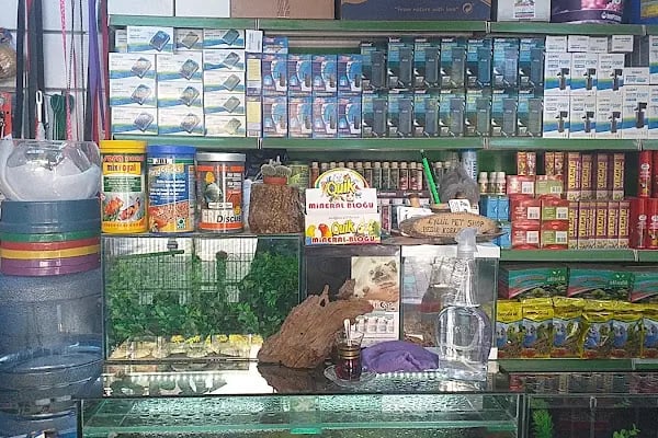 Eylül Pet Shop - Resim 4
