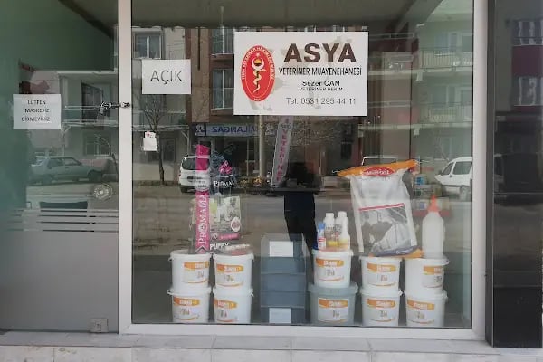Asya veteriner kliniği - Resim 18