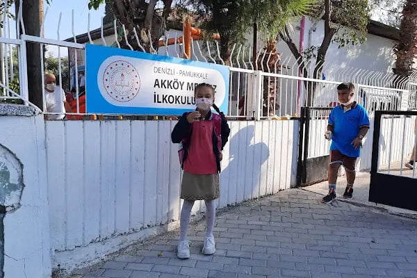 Asya veteriner kliniği - Resim 16