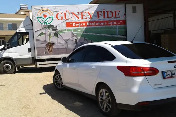 Guney Fide - Resim 9