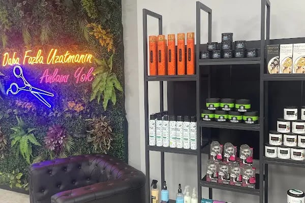 Salon''ALİCAN BAYKAL '' - Resim 3