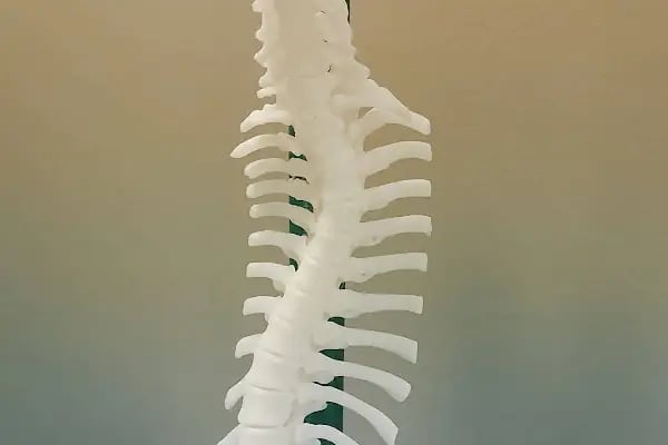 Prof. Dr. Yetkin Söyüncü, Ortopedi ve Travmatoloji Clinic - Resim 8