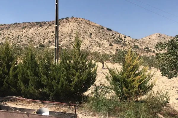 FIRATLAR BAĞ EVİ - Resim 5