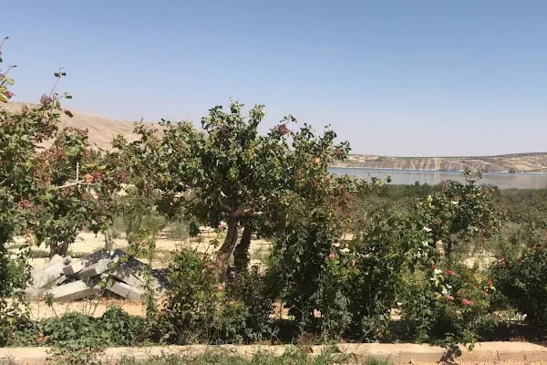 FIRATLAR BAĞ EVİ - Resim 1