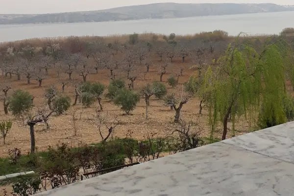 FIRATLAR BAĞ EVİ - Resim 7