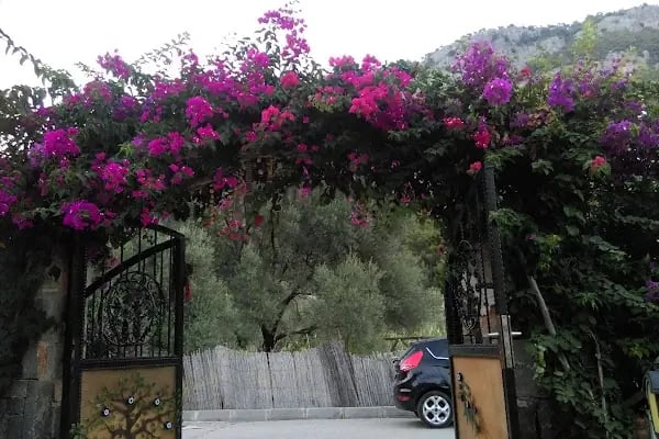 Ay Hotel (Göcek) - Resim 13