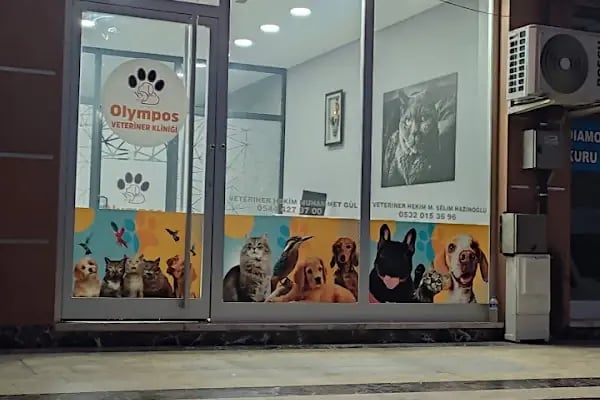 kOlympols Veteriner Kliniği - Resim 12