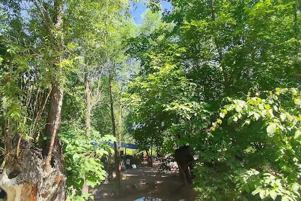 saklı bahçe restoran ayaş - Resim 20