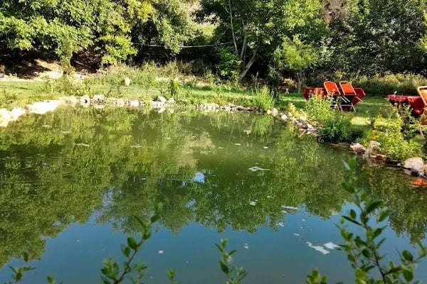 saklı bahçe restoran ayaş - Resim 9