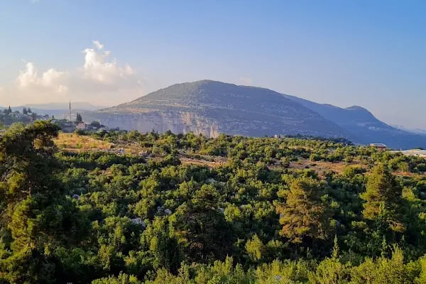 Meşeli Et Pirzolacı Hazar Usta - Resim 3