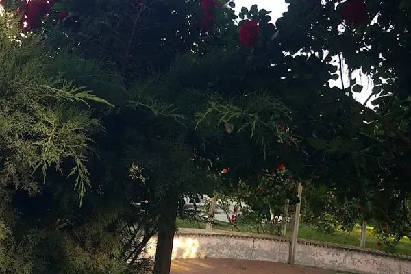 Hükümet Konağı, Adalet Sarayı - Resim 15