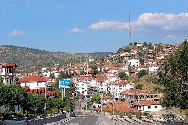 Çamlıdere Kaymakhamlığı - Resim 1