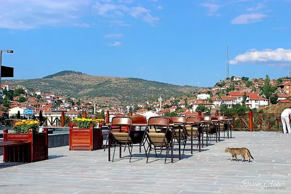 Çamlıdere Kaymakhamlığı - Resim 5