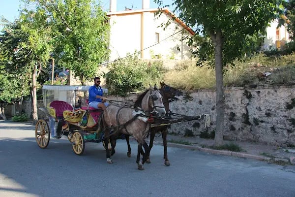 Değirmen Burnu Tabiat Parkı - Resim 19