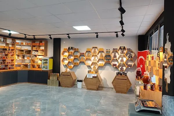 SERVETİYE BAL EVİ - Resim 10