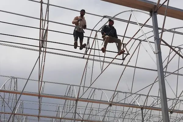 Güney Seracılık - MODERN SERA , BORU VE PROFİL ÜRETİCİSİ - Resim 10